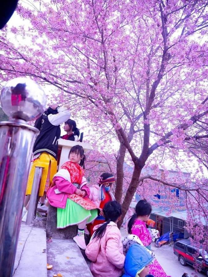 ホテル Nha Nghi T&T ドン・ヴァン エクステリア 写真