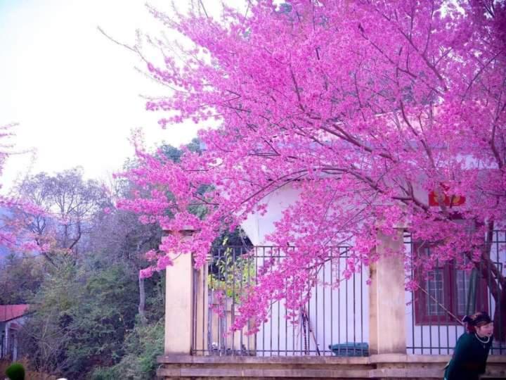 ホテル Nha Nghi T&T ドン・ヴァン エクステリア 写真